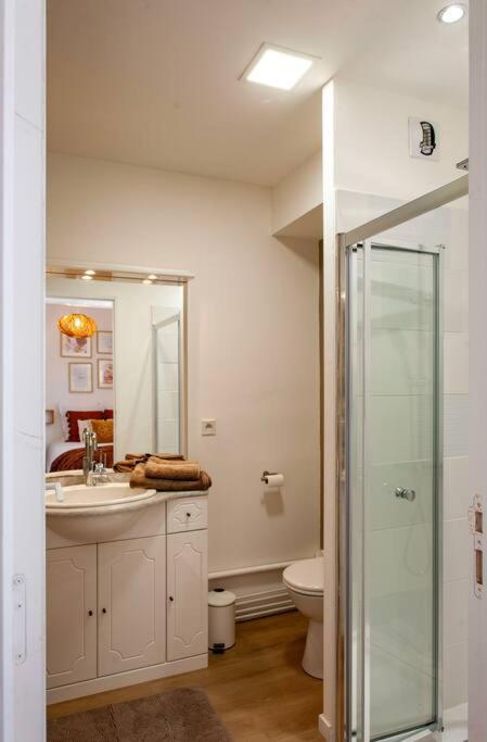 Le Cocoon - Appartement Dans Maison Du Xviieme Siecle Fougeres Luaran gambar